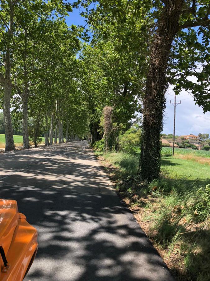 Mas Pinell Viu Bé Apartamento Torroella de Montgrí